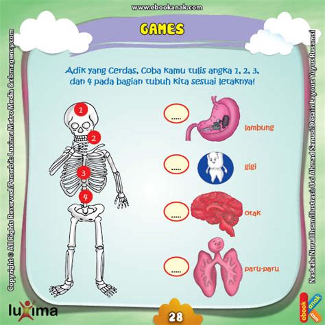 Komik literasi kenalkan macam macam organ tubuh dan. Paling Bagus 21+ Gambar Poster Organ Tubuh Manusia - Richa Gambar