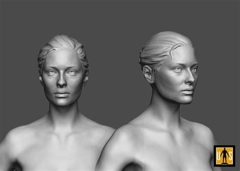 male and female anatomy models pack 3d print model anatomy models female anatomy model