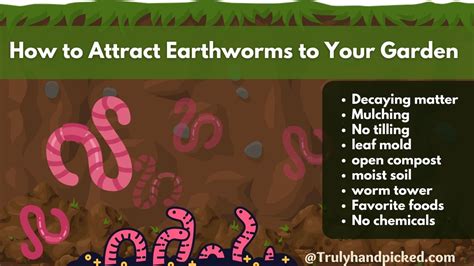 Happy Heaven For Earthworms Attract Earthworms To Your Garden