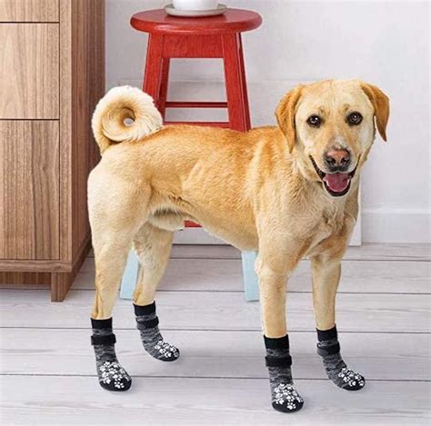 The 6 Best Dog Socks For Hardwood Floors In 2021