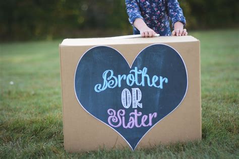 Brother Or Sister Gender Sibling Reveal Balloon Box Sign Etsy Gender Reveal Box Gender