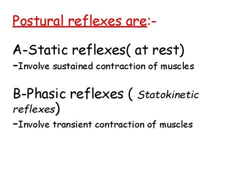 Postural Reflexes What Is Posture Posture Is The