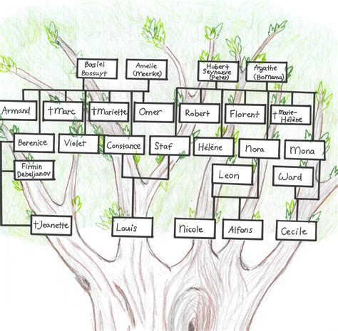 Ken je de naam van albert ii en paola hun eerste kleinkind? Het verdriet van België | Stamboom