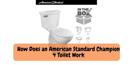 Which American Standard Toilet Flushes Golf Balls