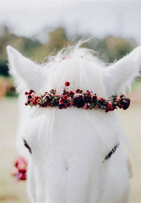 Horse With A Flower Crown What A Beauty Cute Horses Pretty Horses
