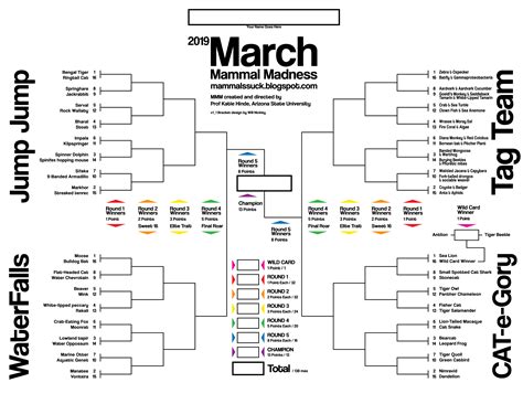 The 7th Annual March Mammal Madness Tournament Mmm Is Upon Us What