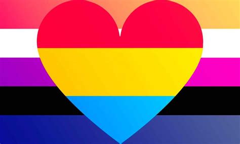 what is pansexual meaning explained