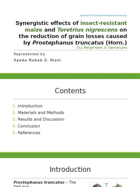 Identification of insect pest egg: The biological control of maize pest | Analysis Of ...