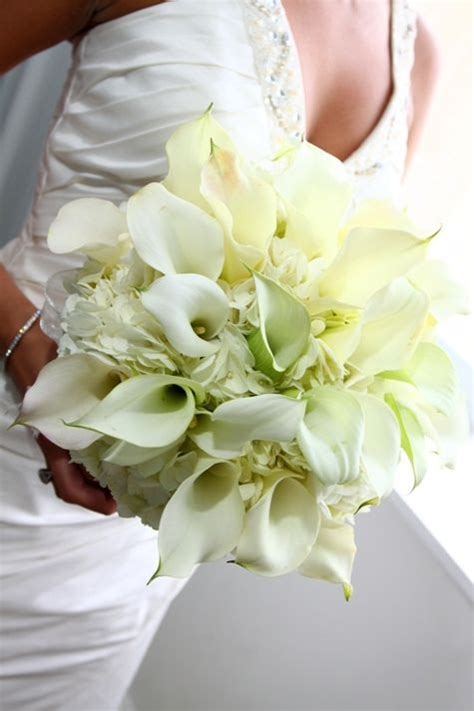 The calla lily has a simple silhouette and. Yes!!! Yes!! 1,000 times yes! | Bride bouquets white ...