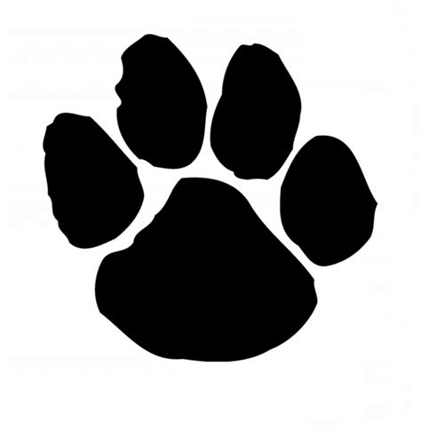 Tiger Paw Print Vector At Vectorified Com Collection Of Tiger Paw