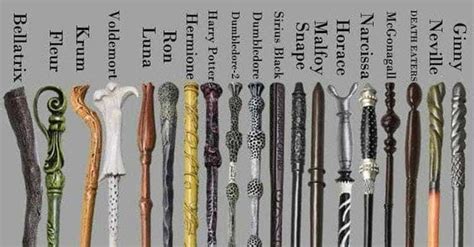 What Every Wand In Harry Potter Looks Like