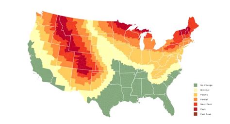 This Map Shows You When To See Fall Colors In Michigan
