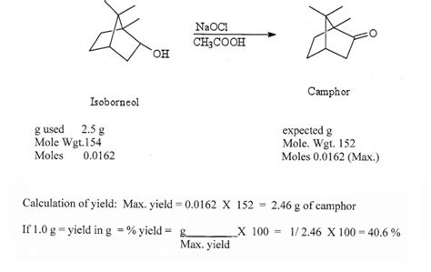 Solved Oxidation Of Isoborneol To Camphor If 10 G