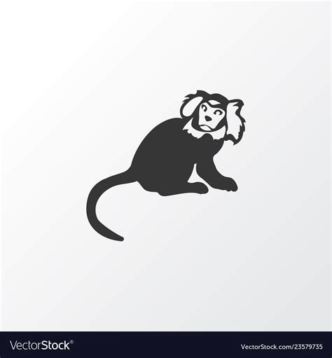 Marmoset Icon Symbol Premium Quality Isolated Ape Vector Image