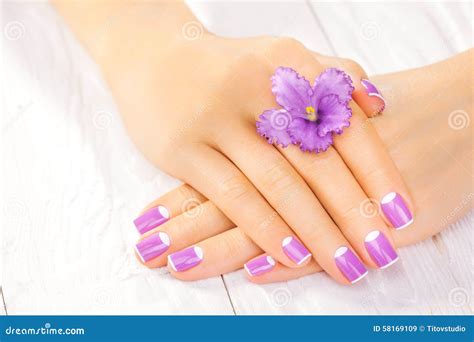 Französische Maniküre Mit Violetten Blumen Badekurort Stockbild Bild Von Aroma Lebensstil