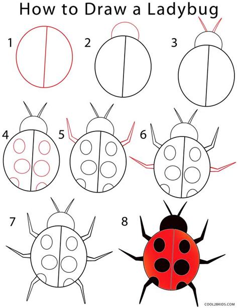 How To Draw A Ladybug Step By Step Pictures Cool2bkids