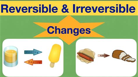 Changes Around Us Reversible And Irreversible Change Class 6 Science