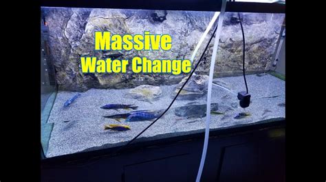 How To Safely Do Massive Water Changes On Your Fish Aquarium Youtube