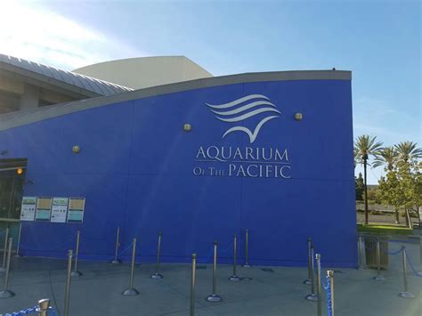 Wo Finde Ich Das Aquarium Of The Pacific