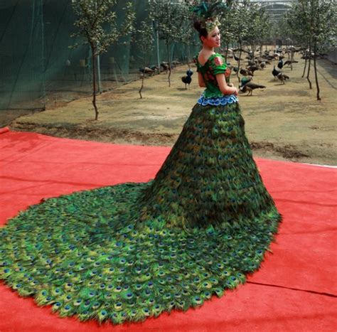 Epic Peacock Dress Expensive Wedding Dress Wedding Dress With