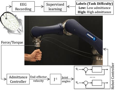 Physical Human Robot Interaction Experiment Setup And Brain Activity
