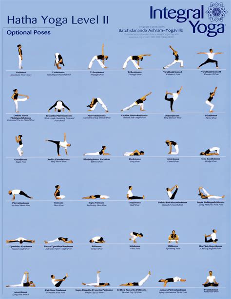 Hatha Yoga Poses Beginners Work Out Picture Media Work Out Picture