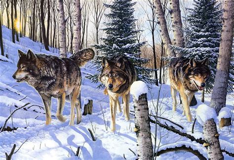 Winter Wolves Predators Snow Wolfpack Wolf Artwork Hd Wallpaper