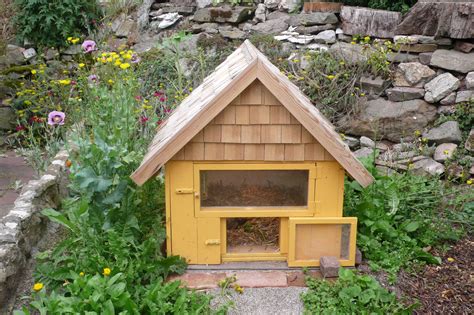 Früher unbezahlbarer luxus, heute gehören design heizkörper fast zur standard ausstattung, wenn wohnräume kreativ gestaltet werden sollen. ProTier: Landschildkröten im Garten - Freigehege ...