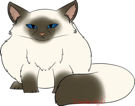 Himalayan Cat By Mochifries On Deviantart