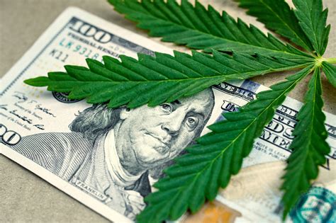 4 Important Tips On How To Start A Weed Business