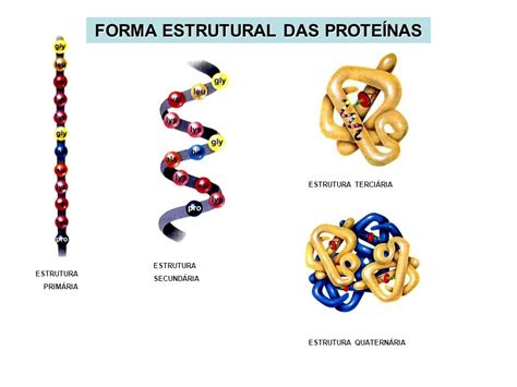 Que Son Las Proteinas Estructura Proteica Aminoacidos Images