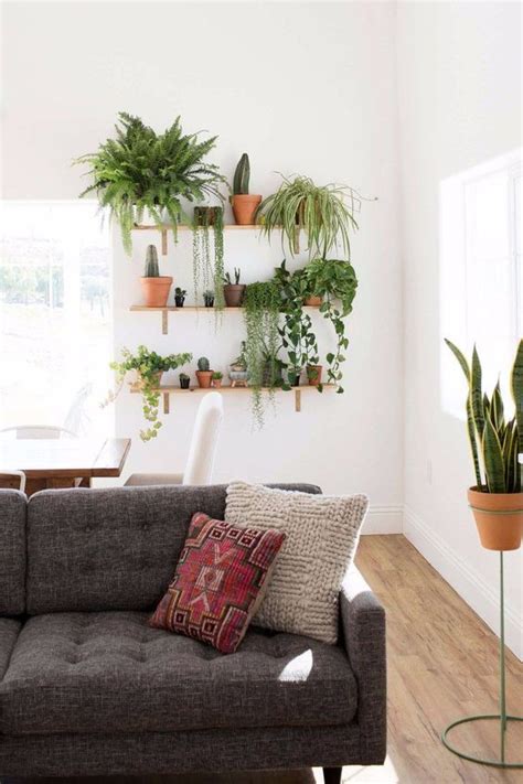 Plant Design In Living Room