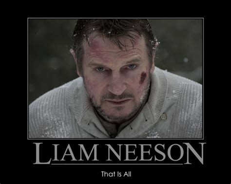 The 20 Best Liam Neeson Memes Movies Galleries Paste