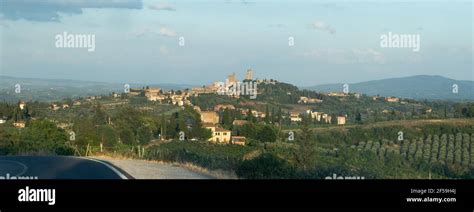 san gimignano town skyline and medieval towers sunset italian olive trees in foreground