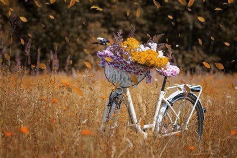 Anleitung zum selbermachen die besten hausmittel umgang mit flugrost hartnäckiger rost die 5 besten tipps.wann immer sie an ihrem auto rost entfernen, sollten sie besonders vorsichtig vorgehen. Rost entfernen am Fahrrad | Ratgeber Rost entfernen