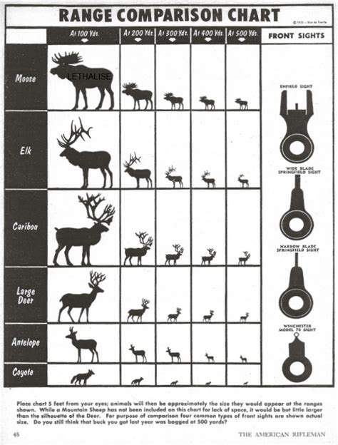 Range Comparison Chart A Quick Reference Comparing Wild Game Size And