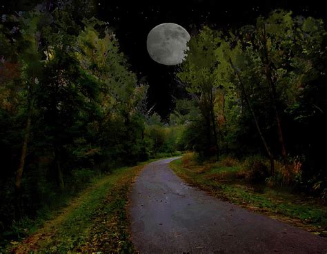 Full Moon Over Forest Trail Photograph By Cedric Hampton Pixels