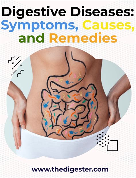 70 percent of our immune system relies on digestive health could you have a digestive disease