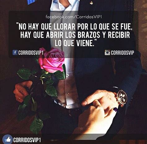 My visit to this institution was a noble experience. @CorridosVIP | Corridosvip | Pinterest | Vip, Frases and Spanish quotes