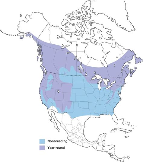 Red Breasted Nuthatch Range Map All About Birds Cornell Lab Of