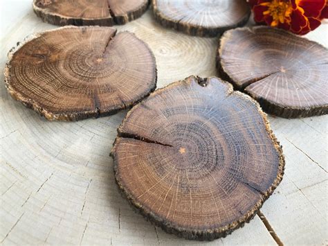 20 Oak Wood Slices Rustic Wood Slices Etsy