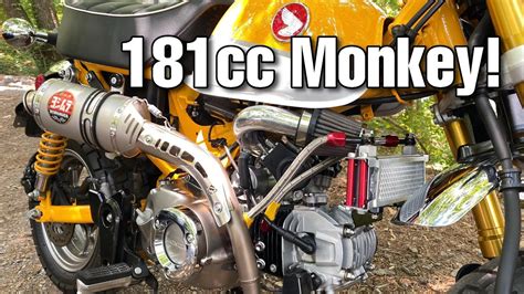 Cc Big Bore On The Honda Monkey Youtube