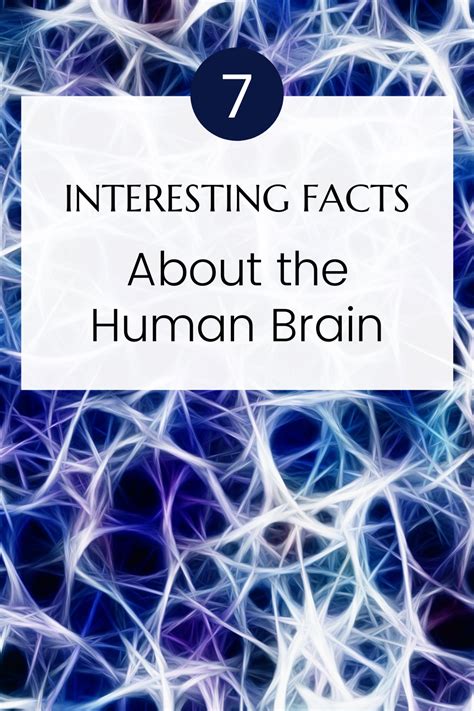 7 Interesting Facts About The Human Brain Human Brain Brain Facts