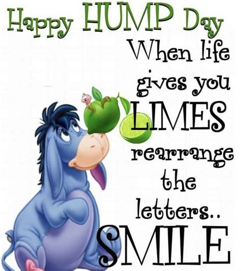 happy hump day quotes shortquotes cc