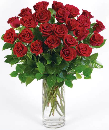 Valentines Day Flowers Same Day Delivery In Milton On