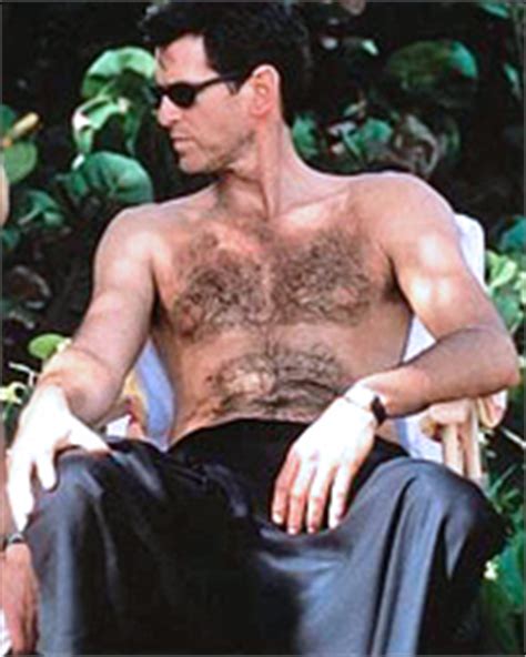 Pierce Brosnan Shirtless In The Thomas Crown Affair Pierce Brosnan Photo Fanpop