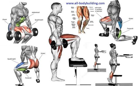 Dumbbell Exercises For Legs Leg Workouts For Men Gym Workouts At Home Workouts Ladies Workout