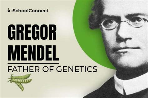 Father Of Genetics Learn About Some Great Contributions