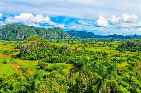 Am besten erlebst du das tal bei einer pferdetour. Valle de Viñales, Kuba | Franks Travelbox