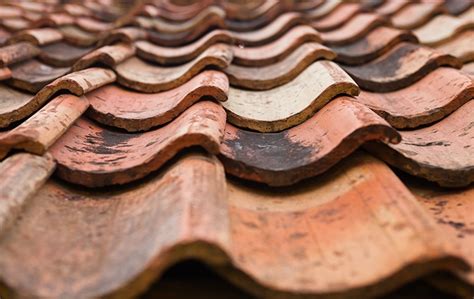 As its aristocratic look suggests, this dance form. Considerations When Choosing Roof Tile Types